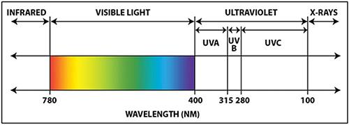 UV 波长图片