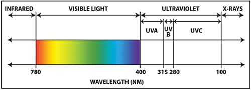 UV 波长图片