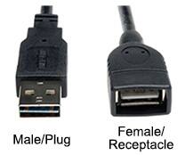 Image of male/plug and female/receptacle USB Type A connectors
