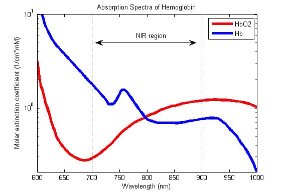 氧合血红蛋白 (HbO2) 与脱氧血红蛋白 (Hb) 的吸收光谱差异图