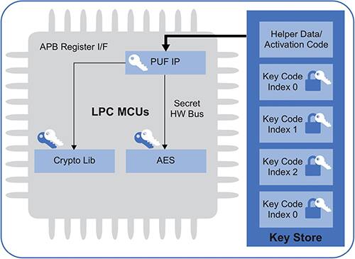 NXP 的 LPC55S 处理器系列示意图