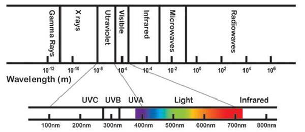 Diagram of UV radiation falls just below visible light at a wavelength of between 100 and 400 nm