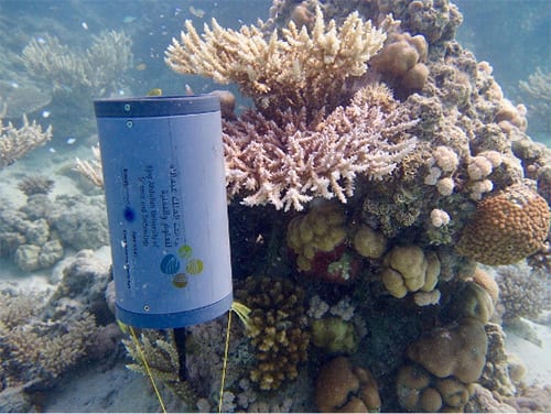 EM043 项目是一个珊瑚礁生态环境恢复系统图片