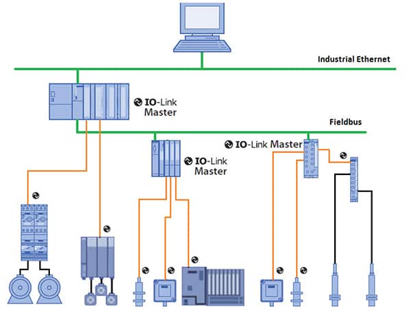 IO-Link 兼容现场总线和 IEEE 工业以太网网络的示意图