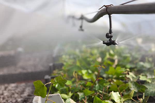 温室灌溉和室外行间作物灌溉的图片