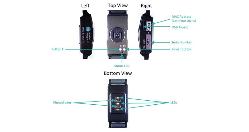 Image of Wellness Wearable Biosensing Front-End Design is Tricky; These Dev Kits are a Lifeline