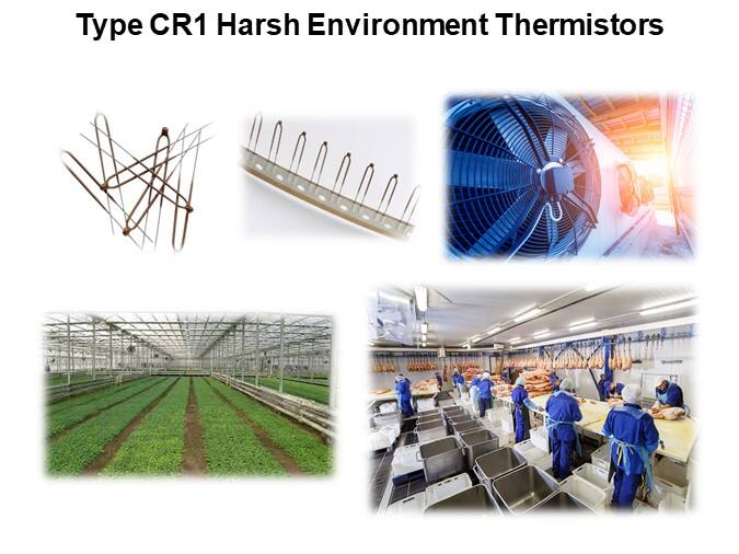Type CR1 Harsh Environment Thermistors
