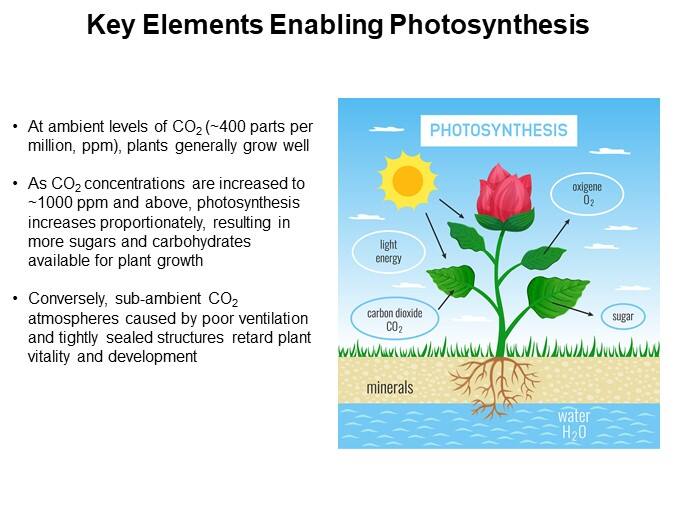Key Elements Enabling Photosynthesis