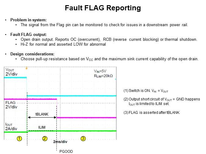 Fault FLAG Reporting