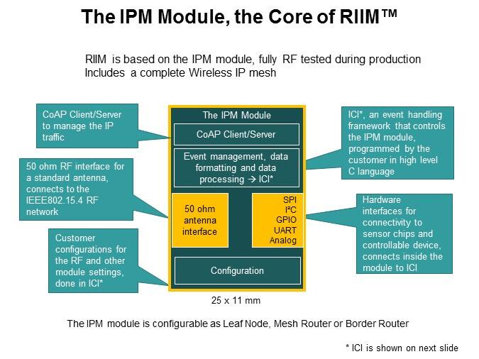 The IPM Module, the Core of RIIM™
