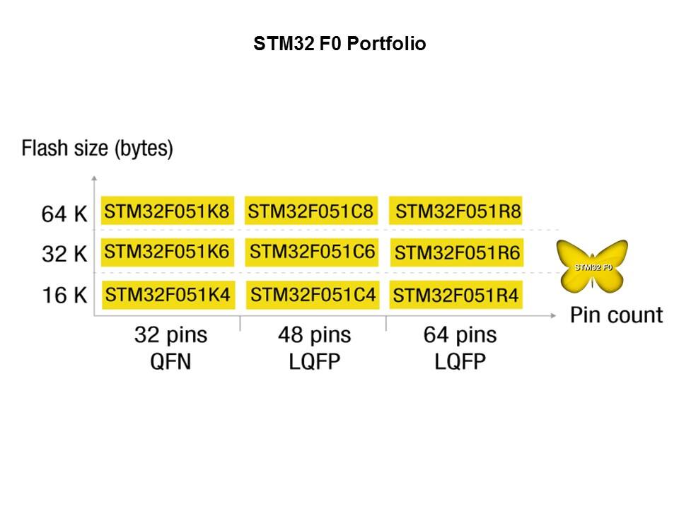 STM32 F0 Series Entry-Level Cortex-M0 32-bit MCUs Slide 13