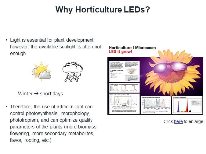 Why Horticulture LEDs?
