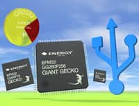 Energy Micro Giant Gecko MCU for Memory Heavy Applications