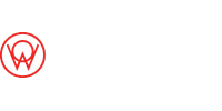 Image of Ole Wolff Electronics' Logo White