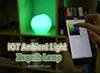 UDOO 的 IoT 环境灯图片：Zerynth 灯