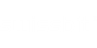 Image of Swissbit Logo