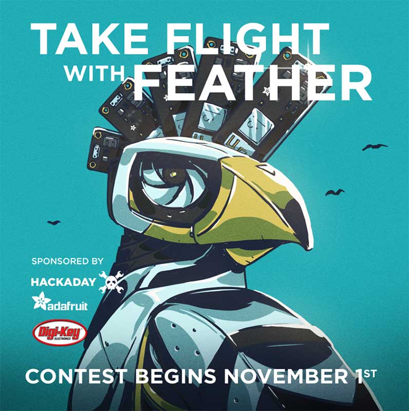 Are You Ready to Take Flight with Feather?
