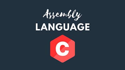 Unveiling the Power of Assembly Level Language